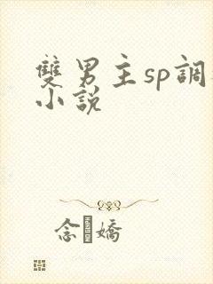 双男主sp调教小说