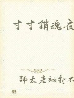 寸寸销魂夜春光