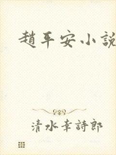 赵平安小说主角