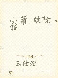 小萝 破除 小说封面