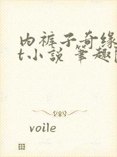 内裤子奇缘txt小说 笔趣阁
