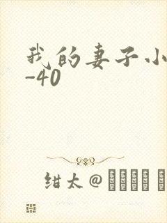 我的妻子小谨1-40
