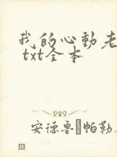 我的心动老板娘 txt全本