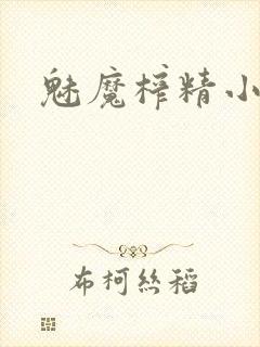 魅魔榨精小说封面