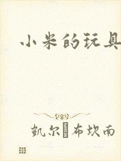 小米的玩具日记