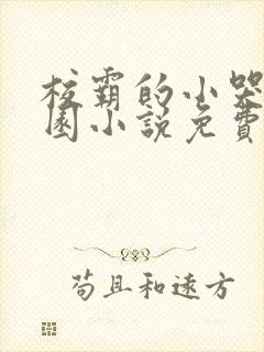 校霸的小哭包校园小说免费阅读姜甜苏以南