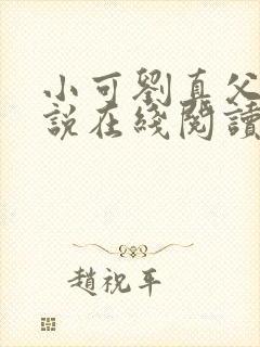 小可刘真父女小说在线阅读