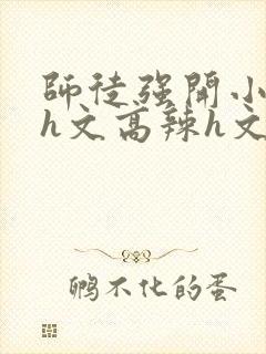 师徒强开小嫩苞h文高辣h文