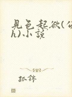 见色起欲(公媳h)小说