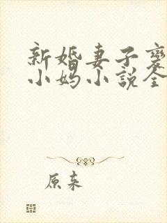 新婚妻子变成了小妈小说全文阅读