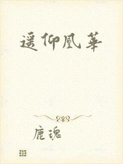 遥仰凰华封面