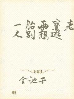 一胎两宝老婆大人别想逃