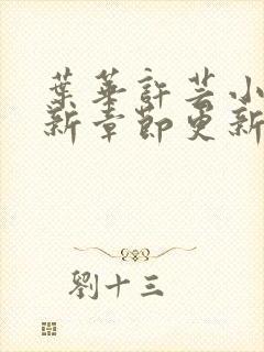 叶华许芸小说最新章节更新时间封面