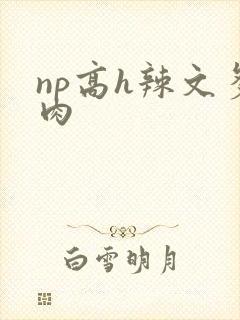 np高h辣文多肉