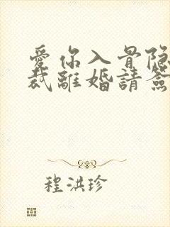 爱你入骨隐婚总裁离婚请签字封面