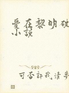爱在黎明破晓前小说