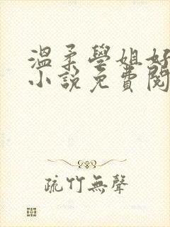 温柔学姐好迷人小说免费阅读全文封面