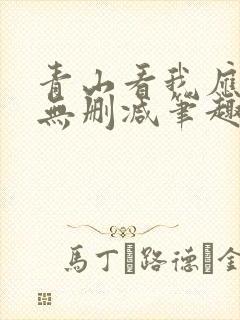 青山看我应如是无删减笔趣阁封面