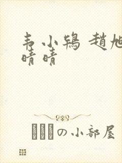 韦小鸨 赵旭李晴晴
