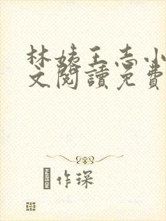 林姨王志小说全文阅读免费封面