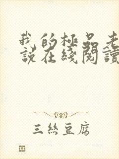 我的极品老婆小说在线阅读