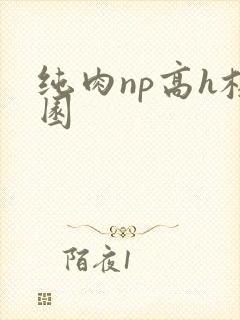 纯肉np高h校园
