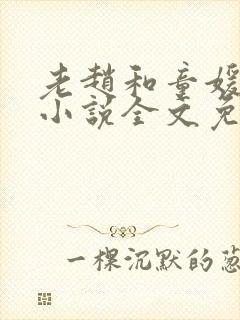 老赵和童媛媛的小说全文免费阅读封面