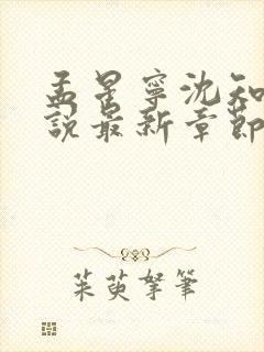 孟星宁沈知聿小说最新章节免费阅读