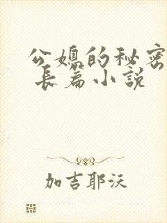 公媳的秘密性事 长篇小说