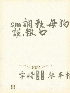 sm调教母狗小说,粗口