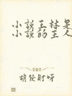 小说王林是哪本小说的主人公
