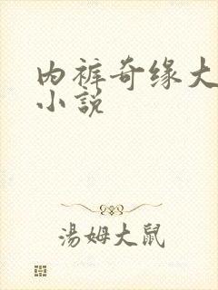 内裤奇缘大团结小说封面