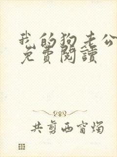我的狗老公小说免费阅读
