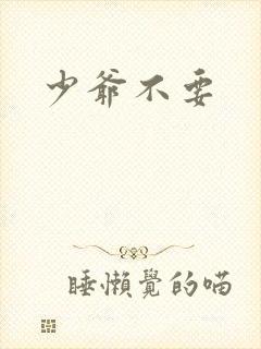 少爷不要
