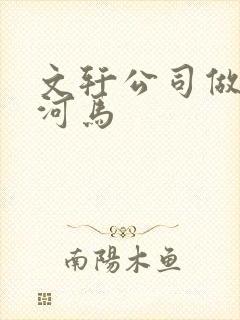 文轩公司做扩张河马
