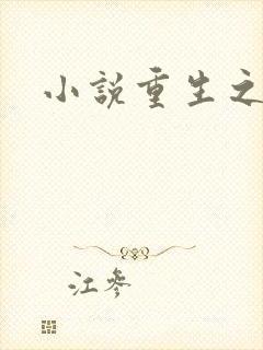 小说重生之官道