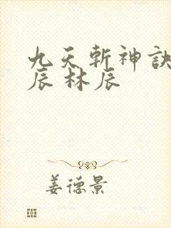 九天斩神诀 林辰 林辰