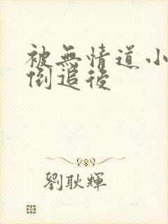 被无情道小师弟倒追后封面