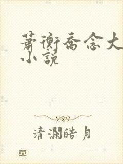 萧衡乔念大结局小说