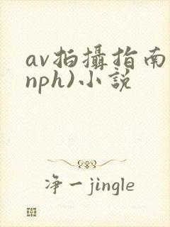 av拍摄指南(nph)小说