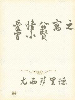 爱情公寓之极品曾小贤封面