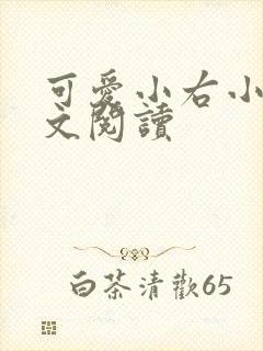 可爱小右小说全文阅读