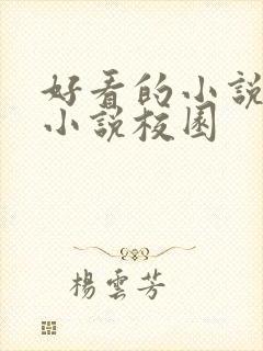 好看的小说言情小说校园
