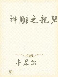 神雕之龙儿别传封面