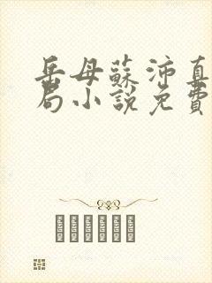岳母苏沛真大结局小说免费阅读全文封面
