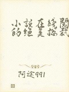 小说在线阅读我的绝美总裁老婆