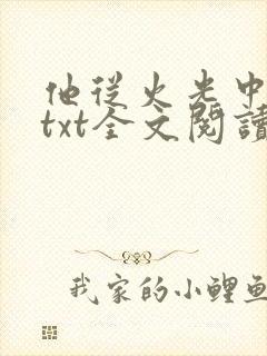他从火光中走来txt全文阅读