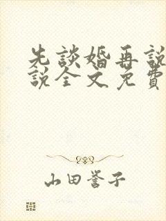 先谈婚再说爱小说全文免费阅读