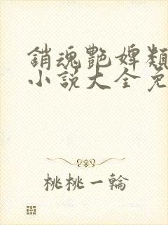 销魂艳婢类似的小说大全免费阅读