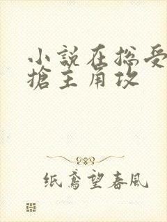小说在总受文里抢主角攻